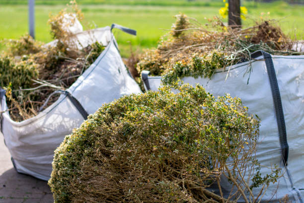 Best Same-Day Junk Removal Services  in Weslaco, TX